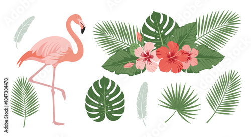 Collection of tropical elements featuring a pink flamingo, monstera and palm leaves, hibiscus flowers, and feathers isolated on white background.