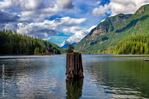 Buntzen Lake Park, the water level in the lake is high after heavy rains in the mountains , in the foreground is a tree stump in the water, against the backdrop of a mountain range and a cloudy sky