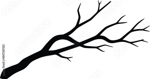 Silhouette of a bare tree branch on a white background
