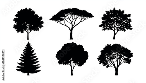 Six black tree silhouettes including a pine tree and deciduous trees with varied foliage on white background