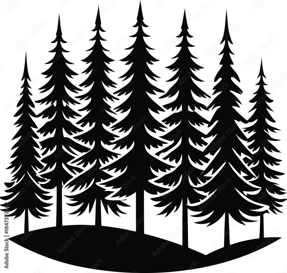 Obraz premium Black silhouette forest of pine trees on white background