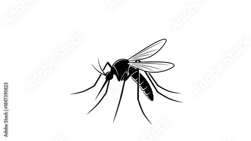Detailed illustration of a mosquito insect with wings and long legs.