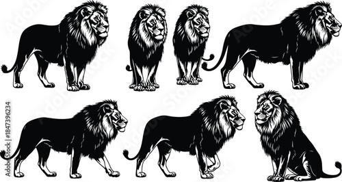 Black and White Lion Vector Bundle: Majestic Standing, Walking, and Sitting Male Lions with Detailed Manes in Powerful Silhouette Design.