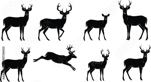 Black Silhouette Vector Set of Realistic Deer, Stags, and Bucks with Antlers, Including Fallow Deer, Running and Standing Poses.