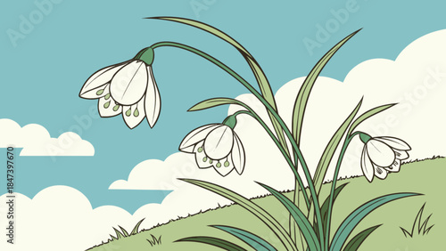 Delicate snowdrop flowers blooming on a grassy hill under a cloudy sky a charming illustration representing springtime and natures renewal