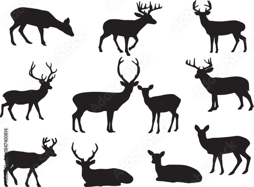 Silhouette collection of deer in various poses against a white background