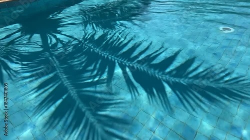 Sunlit pool with a swaying palm tree shadow dancing across the water's cerulean depths and tiled floor