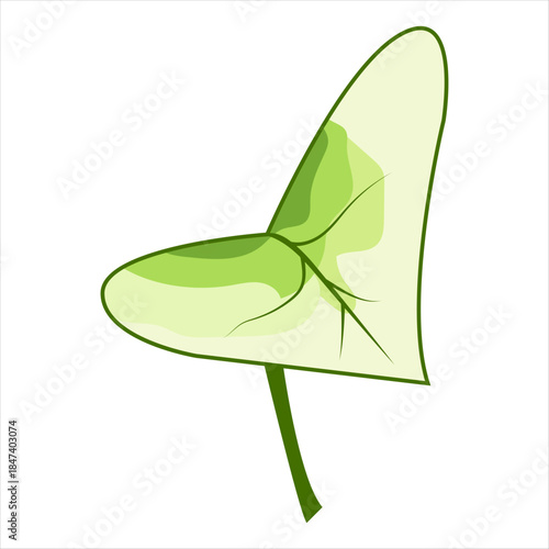 A vector illustration of a leaf with colored fills and soft hues, executed in a flat, decorative style