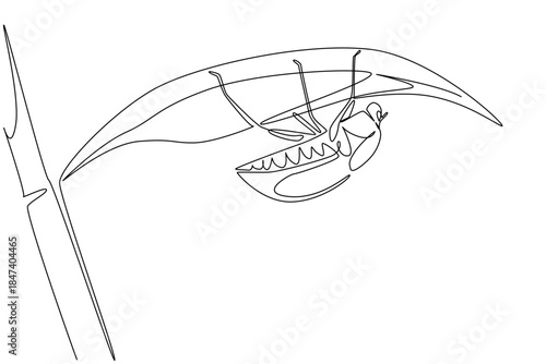 Single line drawing of a june bug hanging under a leaf, reflecting nature concept and June Bug Day theme, emphasizing ecological awareness, insect life cycles, and environmental harmony.