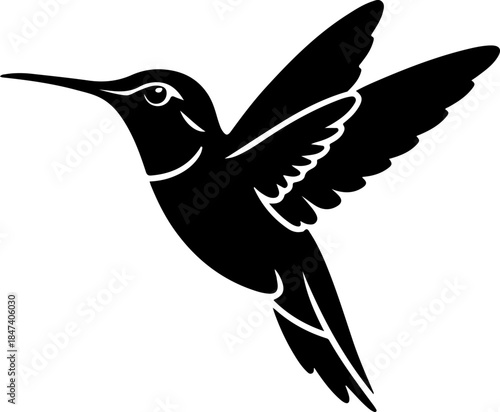 Bird silhouette vector illustration