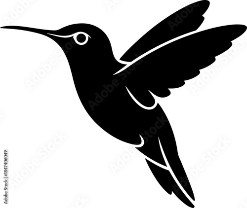 Bird silhouette vector illustration