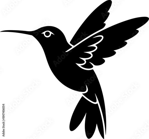 Bird silhouette vector illustration