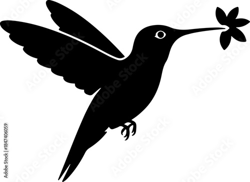 Bird silhouette vector illustration