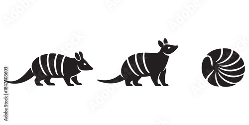 Armadillo Silhouette Set – Walking, Standing and Rolled Armadillo Icon