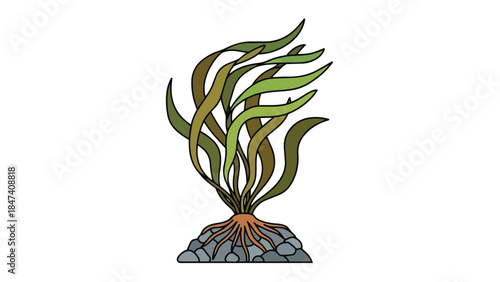Detailed vibrant aquatic plant illustration depicting lush green and olive-hued fronds anchored steadfastly upon a bed of smooth grey river stones.