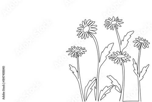 Cluster of wild daisies is created with a single line drawing, reflecting beauty, resilience, and cheerfulness, symbolizing positivity and joy for National Upsy Daisy Day in a nature concept.