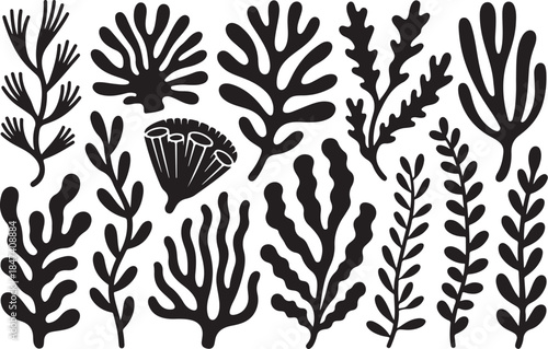 Black and white sea flora abstract collection