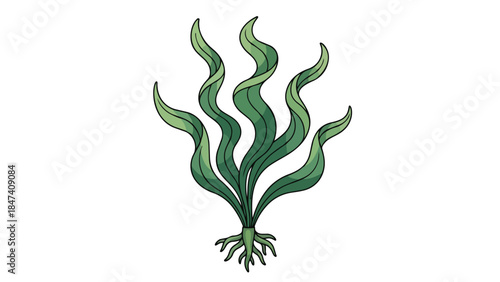 A charming stylized illustration of a vibrant green aquatic plant featuring flowing wavy fronds and an intricate root structure, ideal for