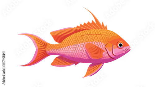 Vibrant marine illustration of a stylized fish showcasing lively orange and pink hues