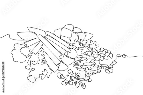 Continuous line drawing showing herbs and spices arranged together, symbolizing natural seasoning and flavor, created as a food concept for National Herbs and Spices Day theme.