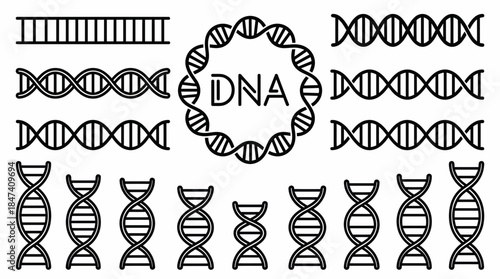 Minimalist black outline set of DNA double helix structure and genetic ladder icons, concept for healthcare technology, medical illustration and genetic engineering