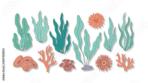 Vibrant undersea flora and fauna illustration featuring diverse aquatic plants and colorful coral formations on a clean white background, showcasing