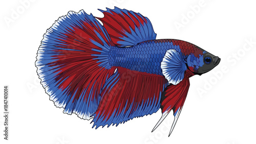 Vibrant aquatic wonder a stunning betta fish showcasing its magnificent red and blue flowing fins