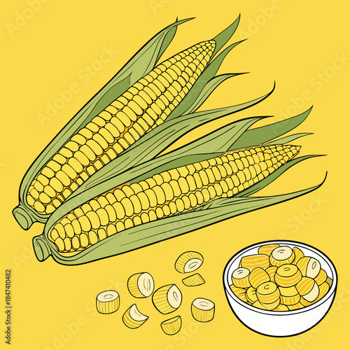 “Fresh Corn on the Cob with Kernels Yellow Maize Food Vector Illustration”