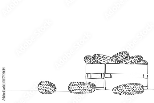 Single line drawing of harvested corn cobs in a wooden crate, symbolizing farming and produce. This agriculture concept design celebrates National Corn on the Cob Day in a simple vector style.