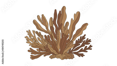 A detailed graphic illustration showcasing a vibrant brown marine plant with intricate branching structures isolated on a clean white background,