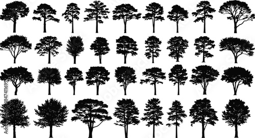 Collection of diverse black tree silhouettes 
