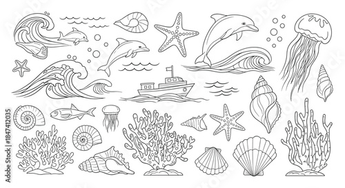 A large collection of hand-drawn sea life and nautical elements in a black and white sketch style, including dolphins, shells, and waves.
