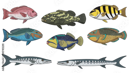 An intricate collection of diverse aquatic species depicted in vibrant detail, showcasing the rich variety of marine life found within ocean