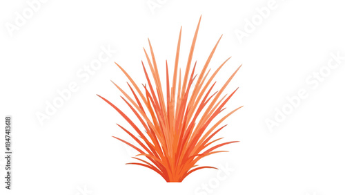 Vibrant orange decorative plant with spiky leaves an abstract natural element for various design projects a graphic illustration of botanical beauty