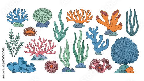 Vibrant colorful underwater flora illustration collection showcasing corals lush seaweed and unique sea anemones hand-drawn for marine environment
