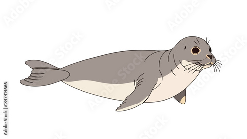 Stylized gray seal illustration with expressive eyes and sleek body