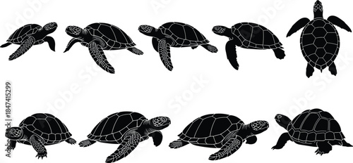 Set of Detailed Sea Turtle and Tortoise Silhouettes in Various Swimming and Walking Poses, Representing Marine Life, Conservation, and Nature