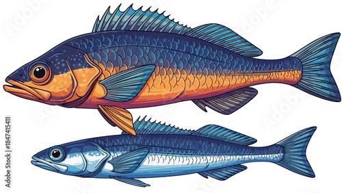 Vibrant Aquatic Duo: Two Distinct Fish Illustrated with Striking Color Gradients and Detailed Scales