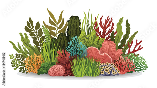 Vibrant Underwater Coral Reef Ecosystem With Diverse Marine Flora And Fauna Illustrations