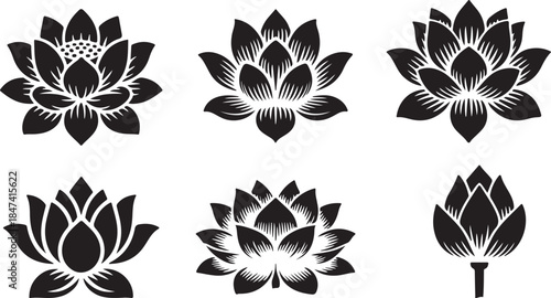 Lotus flower designs in black and white, symbolic and decorative. Six lotus flower images in various black and white designs, perfect for logo design, print, or digital media.