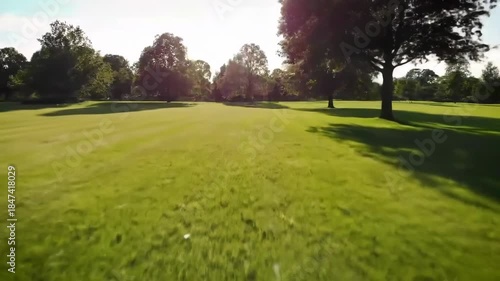 Sunny park view with a grassy expanse and shady trees under a clear sky, conveying tranquility and natural beauty