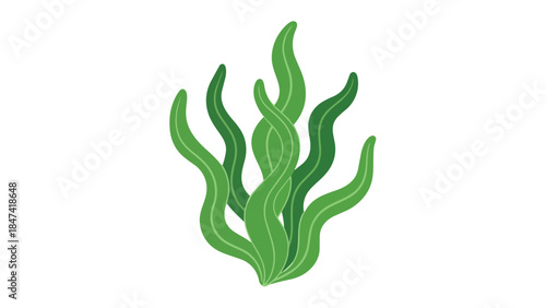 Vibrant green wavy aquatic plant illustration against a clean white background