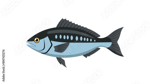 Stylized illustration of a single fish with a light blue body and dark gray fins and dorsal markings, isolated on a white background