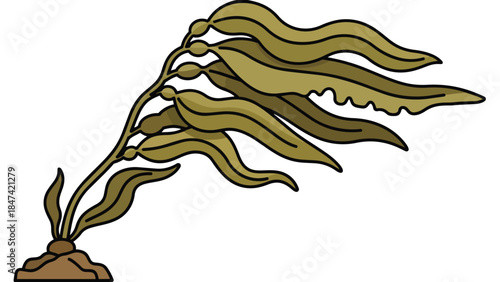 Stylized illustration of a marine plant with flowing fronds anchored to the seabed