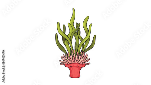 Vibrant Aquatic Flora with Tentacles and Rooted Base Illustration on White