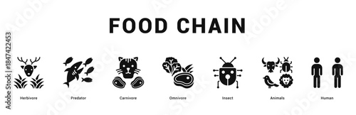 Food Chain Modern and clean web banner illustration featuring thematic icons for visual communication