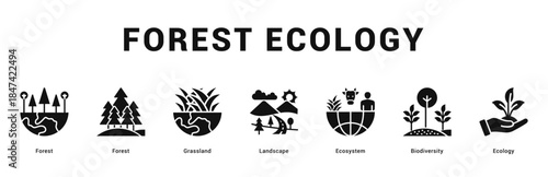 Forest Ecology Modern and clean web banner illustration featuring thematic icons for visual communication