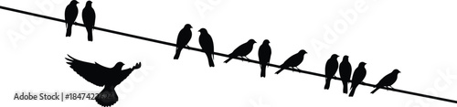 Silhouette of birds perched on a wire with one taking flight