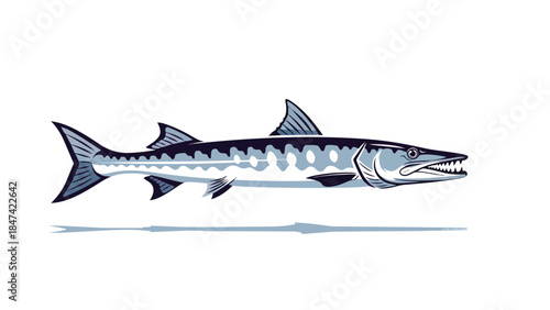 Stylized Illustration of a Barracuda Fish with Sharp Teeth and Dorsal Fins Against a White Background