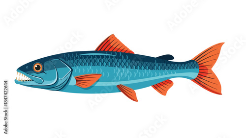 Fierce blue fish with sharp teeth and vibrant orange fins, a striking aquatic predator illustration